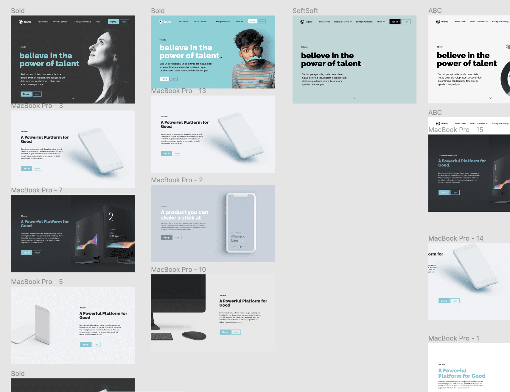 Final artboards — the marketing site shipped