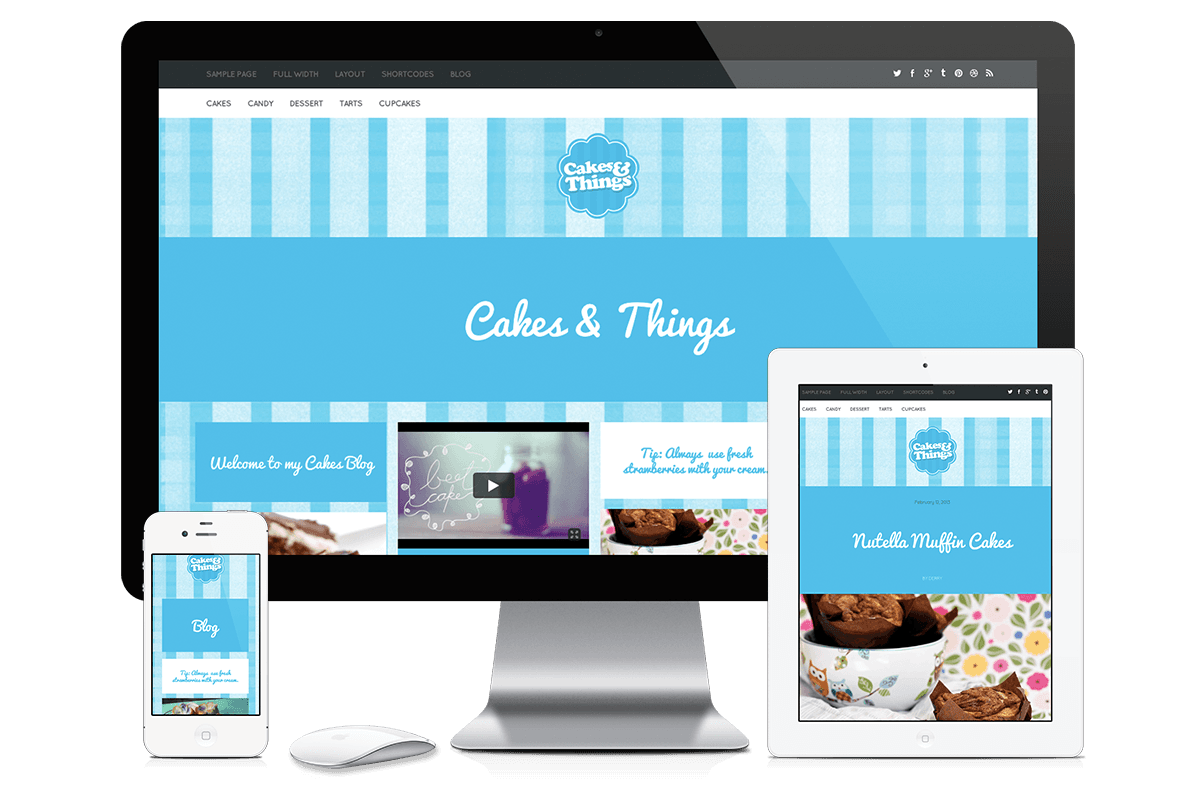 WordPress Themes