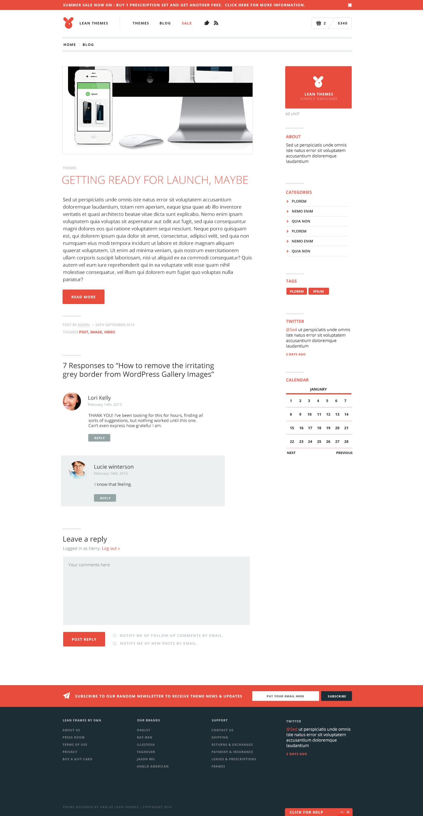 LeanWP theme — single blog post