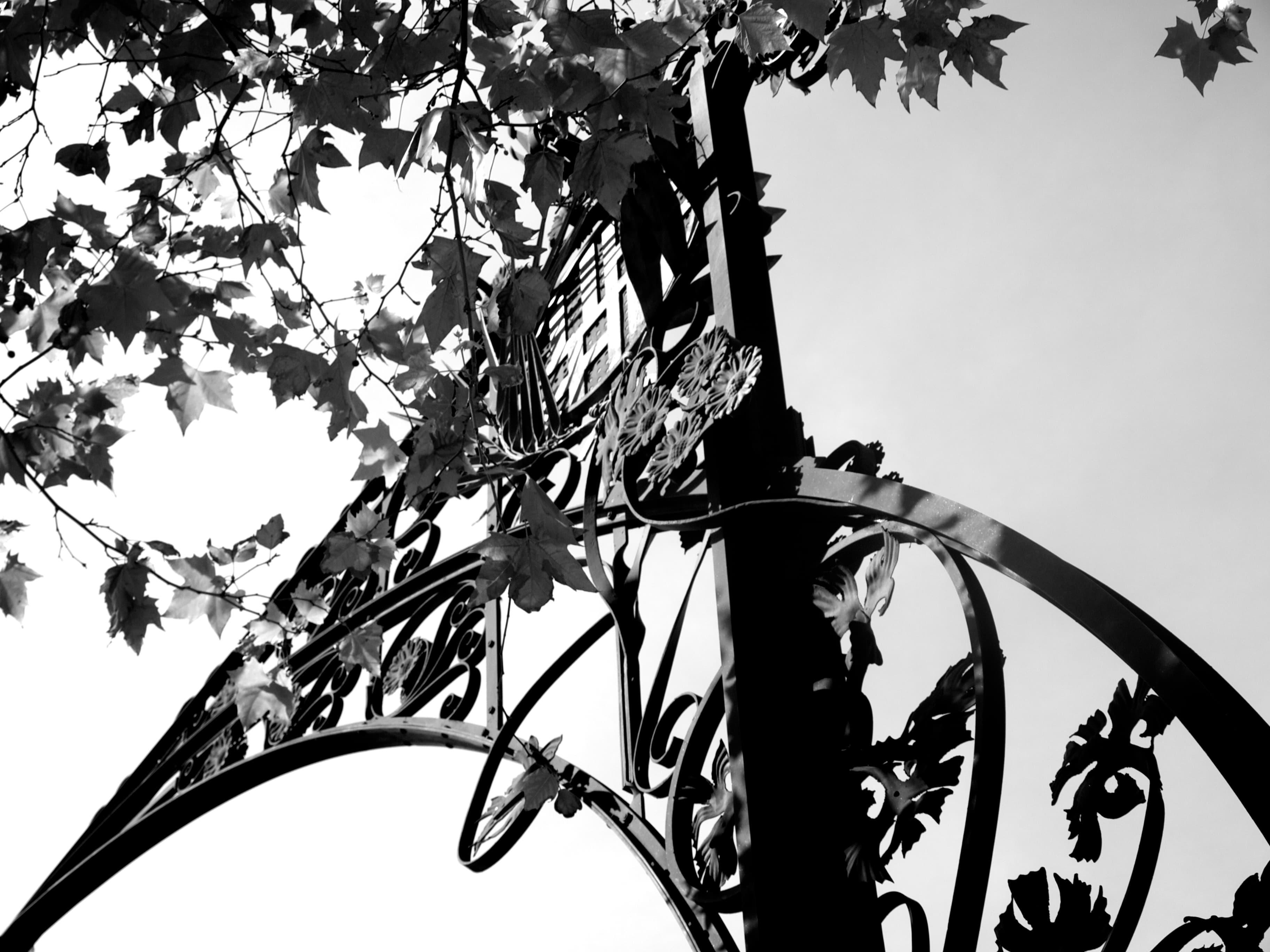 Barcelona — passeig walk, frame 13